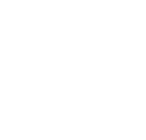 Complex Supply Management